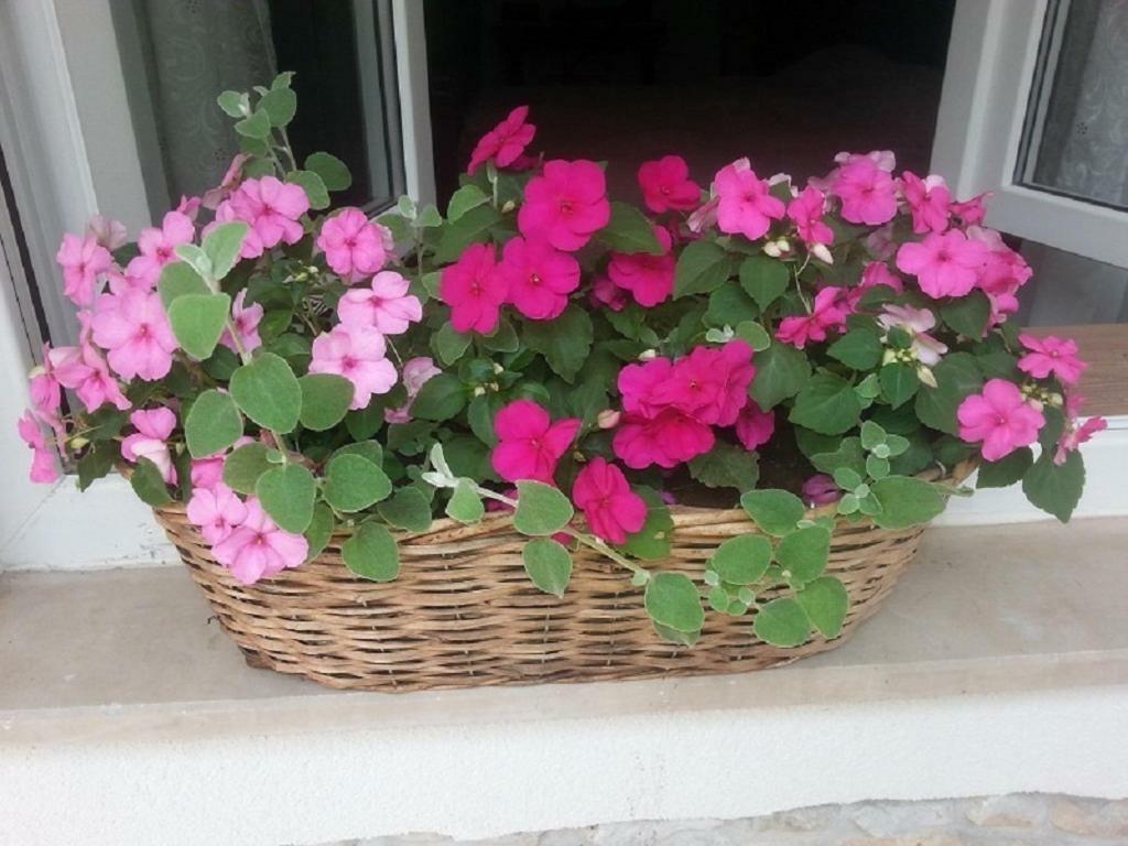 Rosa Apartman Crikvenica Buitenkant foto